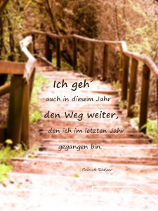 Zitat. Ich geh´ auch in diesem Jahr den Weg weiter, den ich im letzten Jahr gegangen bin. - Patrick Rödiger.